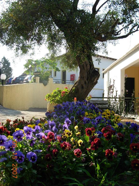 Marilena Hotel Ipsos Esterno foto